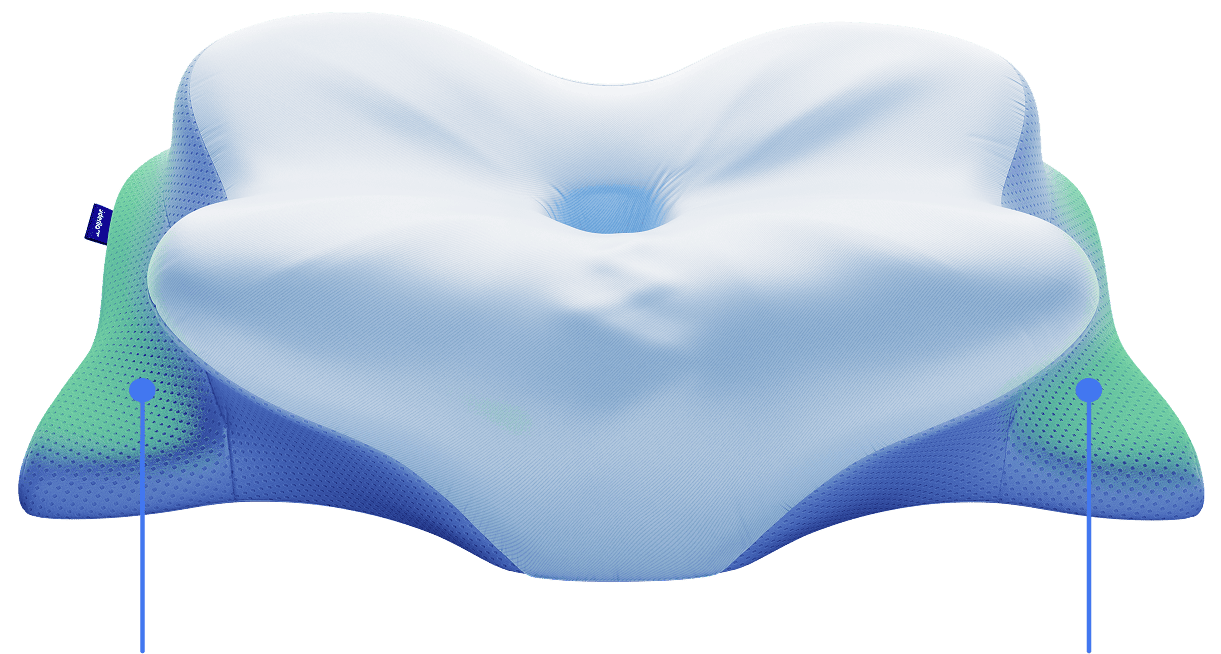DrHealWell ErgoCloud Pillow